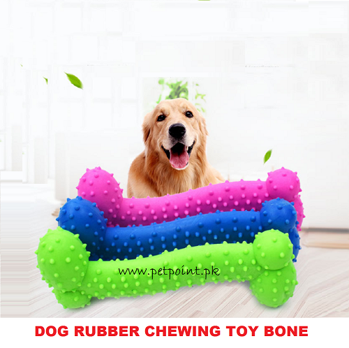 dog and puppy rubber chewing toy bone www.petpoint.pk