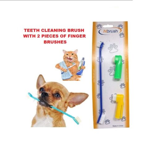 dog and cat teeth cleaning brush www.petpoint.pk